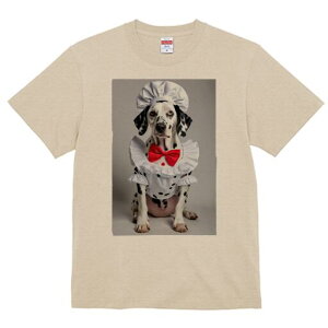 _VA TVc  j[NfUCY LbY t@  t vg lJWA 킢 lԗp Mtg I ҏ΍ RbNX _VA ԂlN^C t