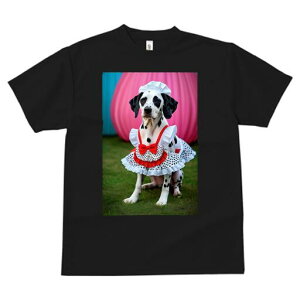 _VA TVc  j[NfUCfB[X t@  t vg lJWA 킢 lԗp Mtg I ҏ΍ Gv _VA Xq ʖ͗l {