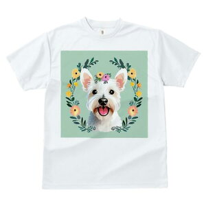 EGXgnChzCgeA TVc  j[NfUCfB[X t@  t vg lJWA 킢 lԗp Mtg I ҏ΍  EGXgnCh