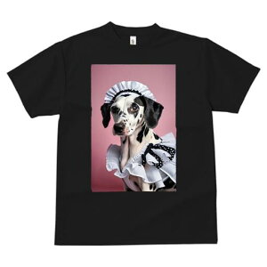 _VA TVc  j[NfUCfB[X t@  t vg lJWA 킢 lԗp Mtg I ҏ΍ Ch _VA t