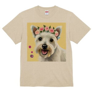 EGXgnChzCgeA TVc  j[NfUCY LbY t@  t vg lJWA 킢 lԗp Mtg I ҏ΍  EGXgnC