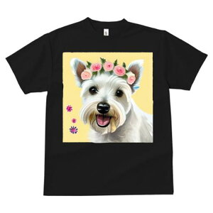 EGXgnChzCgeA TVc  j[NfUCfB[X t@  t vg lJWA 킢 lԗp Mtg I ҏ΍  EGXgnCh