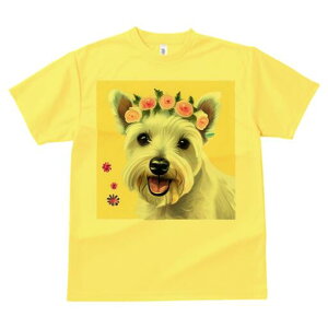 EGXgnChzCgeA TVc  j[NfUCfB[X t@  t vg lJWA 킢 lԗp Mtg I ҏ΍  EGXgnCh