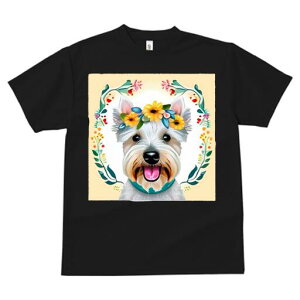 EGXgnChzCgeA TVc  j[NfUCfB[X t@  t vg lJWA 킢 lԗp Mtg I ҏ΍  EGXgnCh