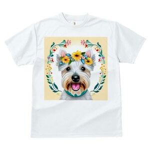 EGXgnChzCgeA TVc  j[NfUCY LbY t@  t vg lJWA 킢 lԗp Mtg I ҏ΍  EGXgnC