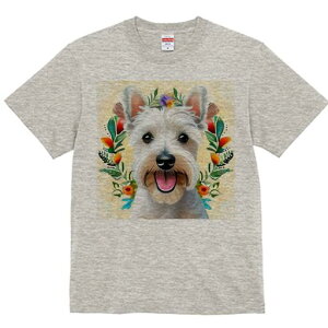 EGXgnChzCgeA TVc  j[NfUCfB[X t@  t vg lJWA 킢 lԗp Mtg I ҏ΍  EGXgnCh