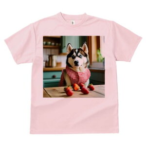 VxAnXL[ TVc  j[NfUCfB[X t@  t vg lJWA 킢 lԗp Mtg I ҏ΍ C`S VxAnXL[ Gv 