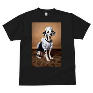 _VA TVc  j[NfUCfB[X t@  t vg lJWA 킢 lԗp Mtg I ҏ΍ Ch _VA Xq