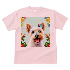 EGXgnChzCgeA TVc  j[NfUCfB[X t@  t vg lJWA 킢 lԗp Mtg I ҏ΍  EGXgnCh