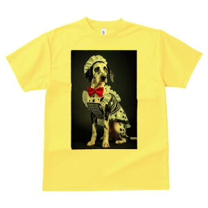 _VA TVc  j[NfUCY LbY t@  t vg lJWA 킢 lԗp Mtg I ҏ΍ Ch _VA ԂlN^C