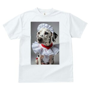 _VA TVc  j[NfUCfB[X t@  t vg lJWA 킢 lԗp Mtg I ҏ΍ Ch _VA t