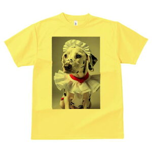 _VA TVc  j[NfUCfB[X t@  t vg lJWA 킢 lԗp Mtg I ҏ΍ Ch _VA t