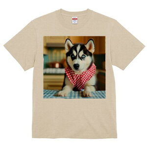 nXL[ TVc  j[NfUCfB[X t@  t vg lJWA 킢 lԗp Mtg I ҏ΍ `FbN nXL[ o_i