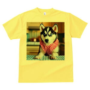 nXL[ TVc  j[NfUCfB[X t@  t vg lJWA 킢 lԗp Mtg I ҏ΍ `FbN nXL[ o_i