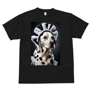 _VA TVc  j[NfUCfB[X t@  t vg lJWA 킢 lԗp Mtg I ҏ΍ Ch _VA Xq