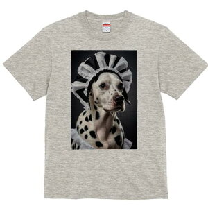 _VA TVc  j[NfUCfB[X t@  t vg lJWA 킢 lԗp Mtg I ҏ΍ Ch _VA Xq