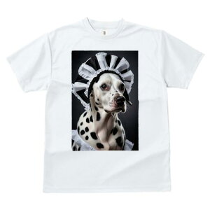 _VA TVc  j[NfUCfB[X t@  t vg lJWA 킢 lԗp Mtg I ҏ΍ Ch _VA Xq