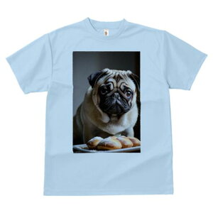 pO TVc  j[NfUCfB[X t@  t vg lJWA 킢 lԗp Mtg I ҏ΍ p pO Ăَq fU[g XC[c