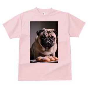 pO TVc  j[NfUCfB[X t@  t vg lJWA 킢 lԗp Mtg I ҏ΍ p pO Ăَq fU[g XC[c