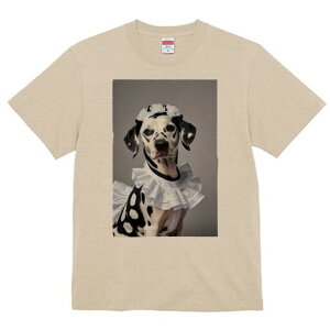 _VA TVc  j[NfUCfB[X t@  t vg lJWA 킢 lԗp Mtg I ҏ΍ Ch _VA t