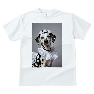 _VA TVc  j[NfUCfB[X t@  t vg lJWA 킢 lԗp Mtg I ҏ΍ Ch _VA t