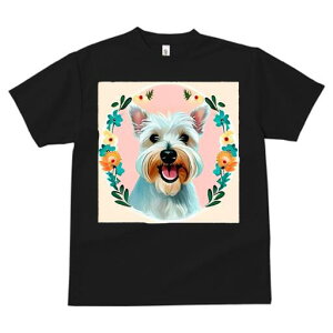 EGXgnChzCgeA TVc  j[NfUCfB[X t@  t vg lJWA 킢 lԗp Mtg I ҏ΍  EGXgnCh