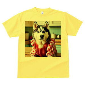 VxAnXL[ TVc  j[NfUCfB[X t@  t vg lJWA 킢 lԗp Mtg I ҏ΍ Gv VxAnXL[ Lb`