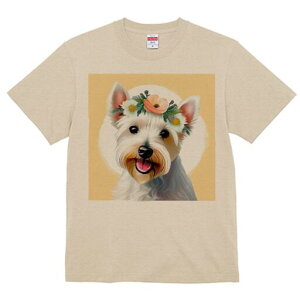 EGXgnChzCgeA TVc  j[NfUCfB[X t@  t vg lJWA 킢 lԗp Mtg I ҏ΍  EGXgnCh