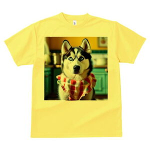 VxAnXL[ TVc  j[NfUCfB[X t@  t vg lJWA 킢 lԗp Mtg I ҏ΍ Lb` VxAnXL[ o_