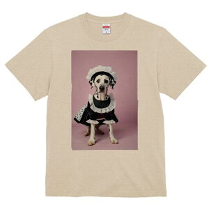 _VA TVc  j[NfUCfB[X t@  t vg lJWA 킢 lԗp Mtg I ҏ΍ Ch _VA RX`[