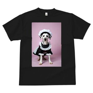 _VA TVc  j[NfUCfB[X t@  t vg lJWA 킢 lԗp Mtg I ҏ΍ Ch _VA RX`[