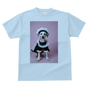 _VA TVc  j[NfUCfB[X t@  t vg lJWA 킢 lԗp Mtg I ҏ΍ Ch _VA RX`[