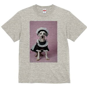 _VA TVc  j[NfUCfB[X t@  t vg lJWA 킢 lԗp Mtg I ҏ΍ Ch _VA RX`[