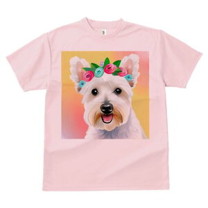 EGXgnChzCgeA TVc  j[NfUCfB[X t@  t vg lJWA 킢 lԗp Mtg I ҏ΍  EGXgnCh