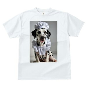 _VA TVc  j[NfUCfB[X t@  t vg lJWA 킢 lԗp Mtg I ҏ΍ RbNX _VA Gv