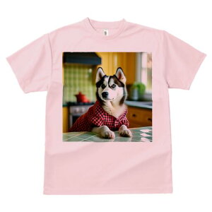 nXL[ TVc  j[NfUCfB[X t@  t vg lJWA 킢 lԗp Mtg I ҏ΍ Lb` nXL[