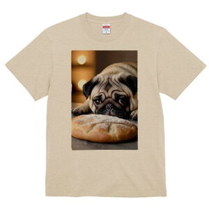 pO TVc  j[NfUCfB[X t@  t vg lJWA 킢 lԗp Mtg I ҏ΍ p pO Hו fU[g XC[c