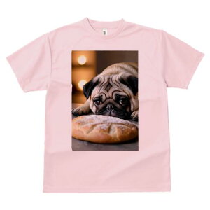 pO TVc  j[NfUCfB[X t@  t vg lJWA 킢 lԗp Mtg I ҏ΍ p pO Hו fU[g XC[c