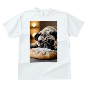 pO TVc  j[NfUCfB[X t@  t vg lJWA 킢 lԗp Mtg I ҏ΍ p pO Hו fU[g XC[c