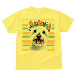 EGXgnChzCgeA TVc  j[NfUCfB[X t@  t vg lJWA 킢 lԗp Mtg I ҏ΍  EGXgnCh