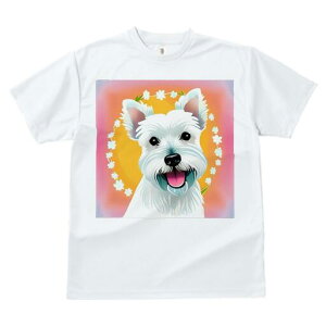 EGXgnChzCgeA TVc  j[NfUCY LbY t@  t vg lJWA 킢 lԗp Mtg I ҏ΍ ԗ EGXgnC