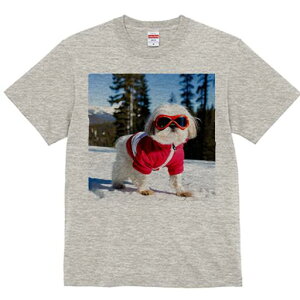 V[Y[ TVc  j[NfUCfB[X t@  t vg lJWA 킢 lԗp Mtg I ҏ΍ XL[ V[Y[ ~  R