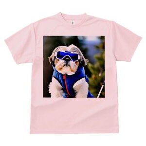 V[Y[ TVc  j[NfUCfB[X t@  t vg lJWA 킢 lԗp Mtg I ҏ΍ XL[EFA V[Y[ XL[S[O