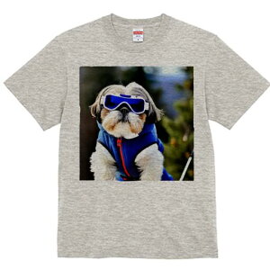 V[Y[ TVc  j[NfUCfB[X t@  t vg lJWA 킢 lԗp Mtg I ҏ΍ XL[EFA V[Y[ XL[S[O