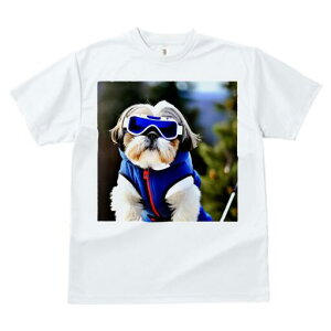 V[Y[ TVc  j[NfUCfB[X t@  t vg lJWA 킢 lԗp Mtg I ҏ΍ XL[EFA V[Y[ XL[S[O