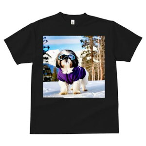 V[Y[ TVc  j[NfUCfB[X t@  t vg lJWA 킢 lԗp Mtg I ҏ΍  V[Y[ ~ R XL[EFA