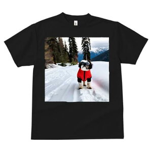 V[Y[ TVc  j[NfUCfB[X t@  t vg lJWA 킢 lԗp Mtg I ҏ΍  V[Y[ R ~ XL[EFA