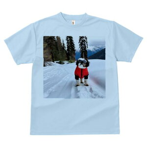 V[Y[ TVc  j[NfUCY LbY t@  t vg lJWA 킢 lԗp Mtg I ҏ΍  V[Y[ R ~ XL[EFA