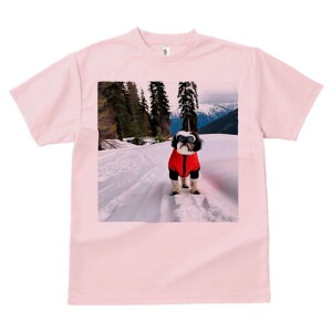 V[Y[ TVc  j[NfUCfB[X t@  t vg lJWA 킢 lԗp Mtg I ҏ΍  V[Y[ R ~ XL[EFA