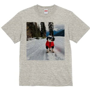 V[Y[ TVc  j[NfUCfB[X t@  t vg lJWA 킢 lԗp Mtg I ҏ΍  V[Y[ R ~ XL[EFA